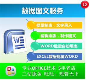 打字录入word excel表格制作 文字录入 排版 编