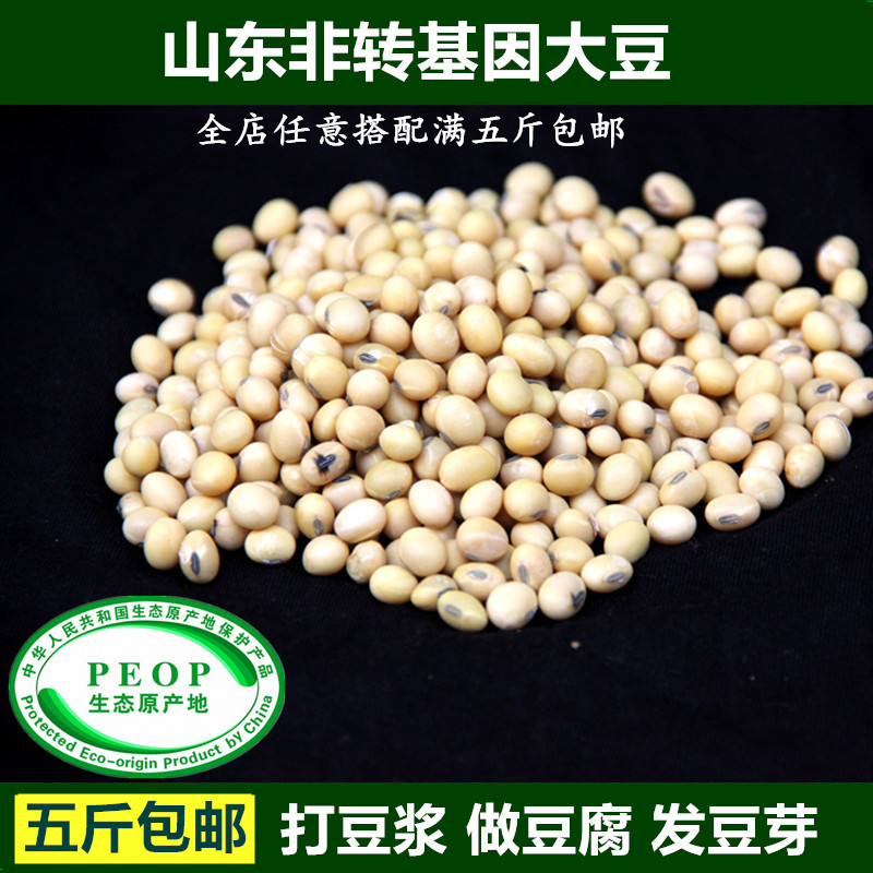 非转基因黄豆500g自种新豆山东农家自种土黄豆可发豆芽打豆浆在类目 粮油米面/南北干货/调味品, 米/面粉/杂粮, 豆类, 黄豆中 - 来自Buy2taobao.com提供专业的淘宝代购服务