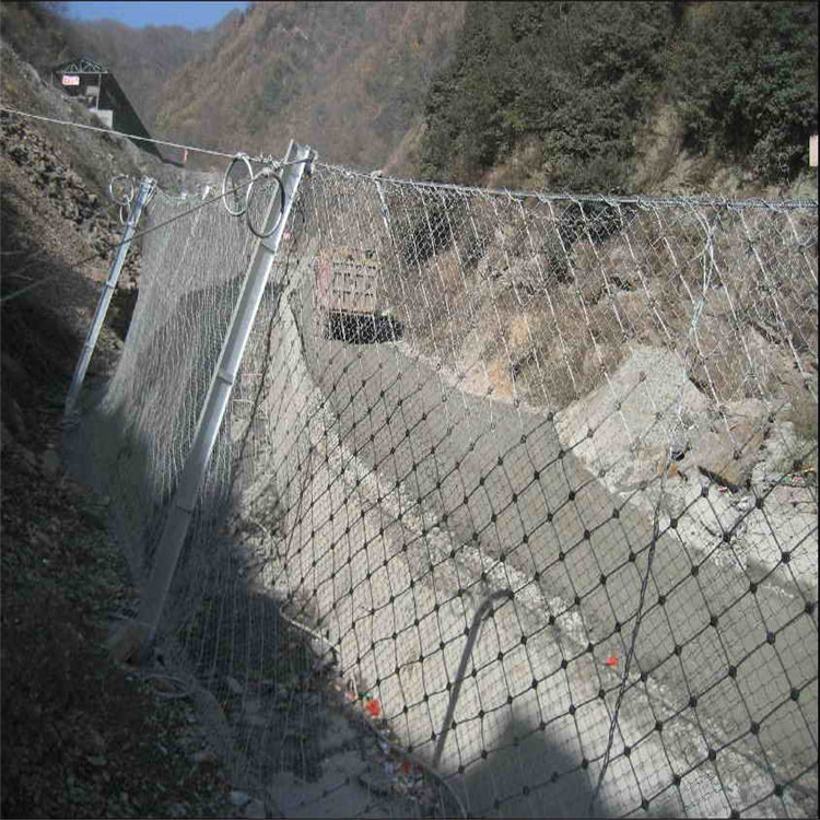 SNS Passive Fence Flexible a wire rope customized product Revetment RX-025//050/075in the Hardware/Tool , Construction of protection , Fall Protection , Safety Net category - from Buy2taobao.com to provide professional Taobao agent buy service