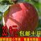上下架计划:（五亩庄园）脆甜新鲜小苹果红富士 新鲜苹果水果 灵宝富士苹果