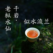 百年老枞水仙正宗武夷岩茶水仙茶叶特级 大红袍 正岩茶散装250g