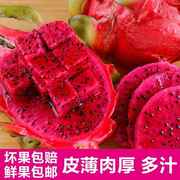 新鲜水果越南进口红心火龙果当季大果5-7个7斤多地