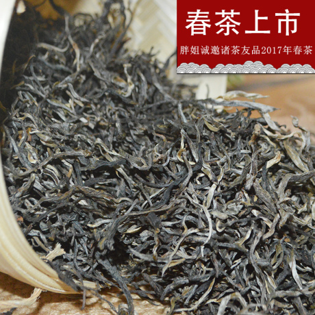 古树生茶散
