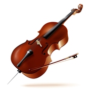 木森乐器实木初学者大提琴金雀大提琴乐器44成人儿童亮光
