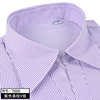 夏季女士工装短袖衬衫紫色条纹职业免烫ol大码银行工作服半袖衬衣