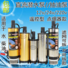 电动油泵12V24V220伏潜水泵直流电瓶小油泵柴油泵微型抽油抽水泵