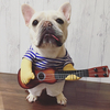 巴哥搞笑衣服宠物狗狗，吉他手变身装搞怪法斗搞笑弹吉它衣服猫腻