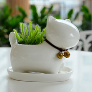 创意动物小花盆多肉植物花盆陶瓷花盆桌面简约可爱卡通小狗装饰