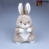 情人节兔子公仔圣诞节礼物毛绒玩具小兔子毛绒兔流氓彼得兔兔公仔