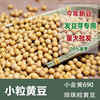 东北小粒黄豆500g 极小粒珍珠豆老品种大豆纳豆发豆芽豆小金黄690