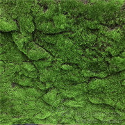 仿真苔藓软苔藓人造假苔藓绿色植物墙场景橱窗，装饰苔藓草皮草i.