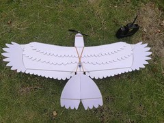 老鹰飞机 KT板板材 电动 遥控 模型飞机 三角翼 滑翔飞行性能优异