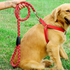 大狗狗牵引绳胸背带项圈小型遛狗绳金毛狗链子中型大型犬宠物用品