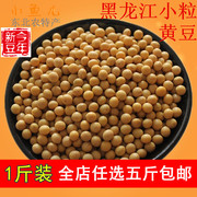 黄豆500g 东北黑龙江特产农家自种小粒笨大豆豆芽豆浆纳豆