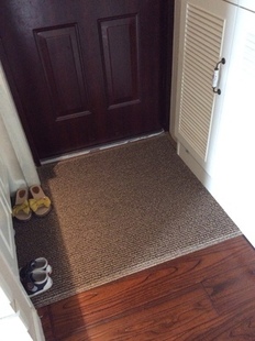 定制地毯门垫进门门口丝圈地垫入户玄关门垫脚垫进门地垫门厅门垫