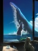 现代简约夏天海边鲸鱼与猫咪客厅房间卧室挂画壁画无框画装饰画