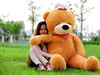 毛绒玩具1米8大抱熊泰迪熊布娃娃抱抱熊，1.8米大号2米1.6米公仔1.2