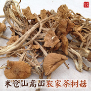 茶树菇干货100g干茶树菇农家茶薪菇散装杨树菇嫩香菇菌菇蘑菇