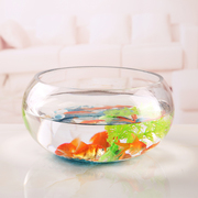 创意圆形鱼缸透明玻璃乌龟缸大号客厅水族箱办公室桌面造景水培缸