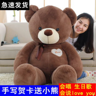抱抱熊女生大号泰迪熊公仔熊猫，毛绒玩具熊1.6米狗熊，可爱生日礼物