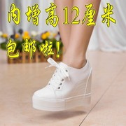 内增高厚底波鞋10cm高跟，运动单鞋白色，松糕女鞋2023春韩版休闲球鞋