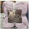 纯色双层法兰绒羊羔绒秋冬季毛毯加厚单双人盖毯空调毯珊瑚绒毯子
