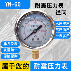 耐震压力表YN60水压油压液压表YN-60 0-0.6/1.6/2.5/25/40MPA