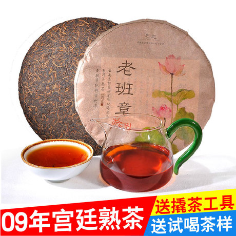 勐海古树