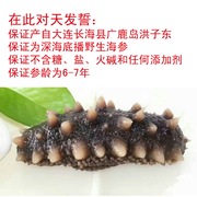 大连长海县獐子岛附近海域广鹿岛野生底播即食海参，满六年(满六年)500g