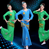 傣族舞蹈服成人演出服修身长袖孔雀舞鱼尾裙云南少数民族舞蹈服装