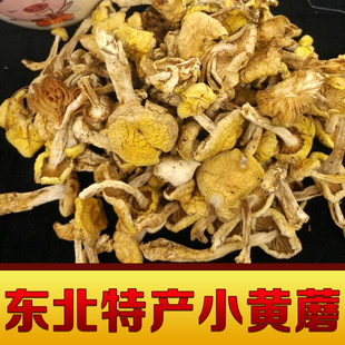 黄蘑东北特产山珍野生小黄蘑菇500g农家晾晒天然美味营养食品