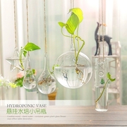 吊瓶玻璃透明壁挂悬挂墙上墙壁墙面装饰挂件创意水培绿萝植物水养