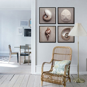 现代简约海螺珊瑚海星贝壳，挂画客厅沙发背景墙，组合装饰画美式挂画