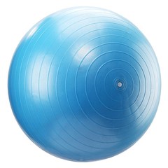康复训练大龙球感统平衡巴氏球Bobath球按摩瑜伽球减肥健身球