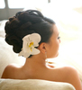拍照头饰白色花朵发饰发夹侧边夹海边头饰头花女韩式新娘盘发饰品