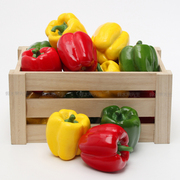 仿真蔬菜食品模型假水果，蔬菜道具橱柜，装饰品仿真圆椒灯笼椒菜椒