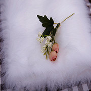 纯白色长毛绒布料装饰品地垫展示毯格子铺背景，布绒毛(布绒毛)毛布地毯