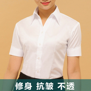 夏女士短袖纯色衬衫白色v领修身职业装粉红色半袖衬衣正装工作服