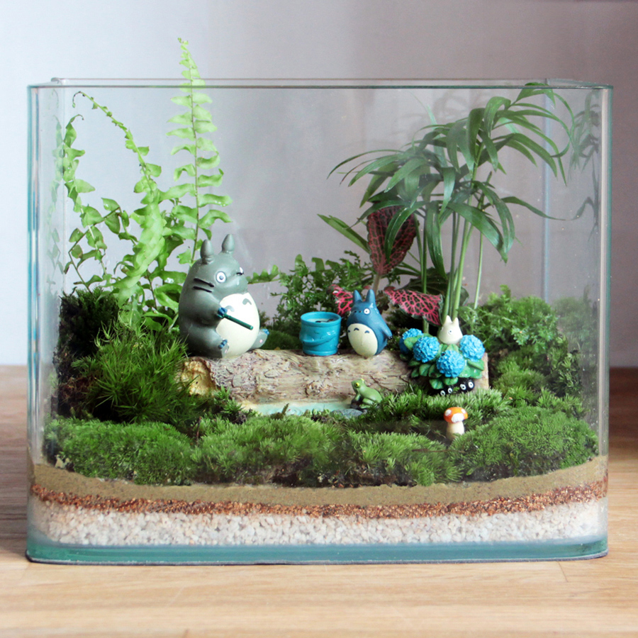 钓鱼多洛洛 宫崎骏龙猫苔藓微观瓶景 生态缸造景创意绿植 夏天季