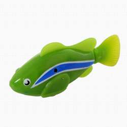 小宠物鱼热销爆款|养什么宠物鱼赚钱,怎样养殖