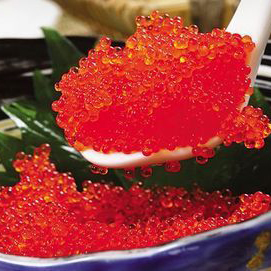 寿司材料 红色飞鱼子 鱼子酱 飞鱼籽 蟹子 飞鱼子500g大粒