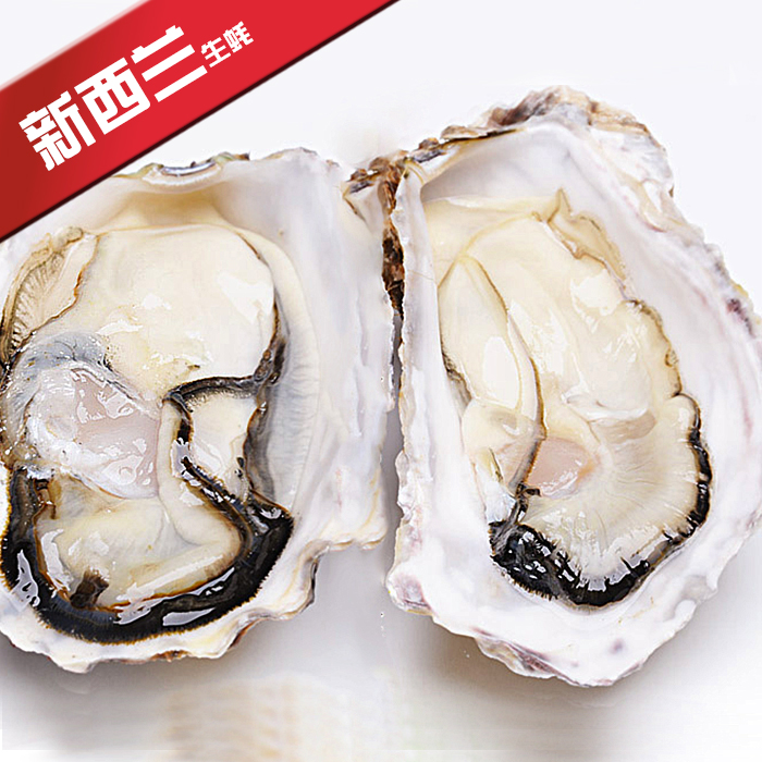 特价 新西兰进口带壳刺身生蚝 冷冻新鲜鲜活即