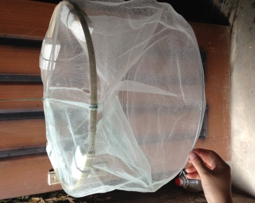 渔网地笼网. 专捉黄鳝笼.泥鳅笼龙虾笼螃蟹笼白