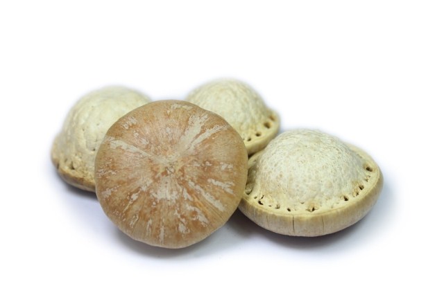 新疆中药材 风流果100g 补肾果泡酒料 新疆中药材 男人用品 包邮
