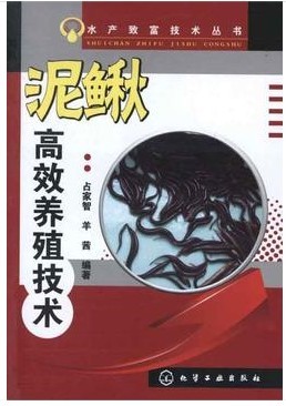 2013 泥鳅养殖技术大全 泥鳅技术书籍 泥鳅高效