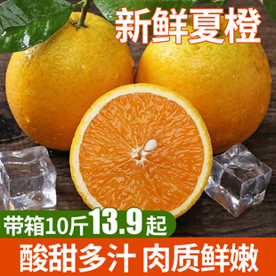 10 kg of fresh summer oranges with box of ro candy oranges, big fruit oranges, freshly pied fruits, hand-peeled and burst juice, sweet in season