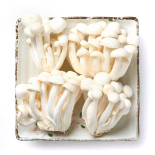 selected white jade mushroom 145g (white snow mushroom)