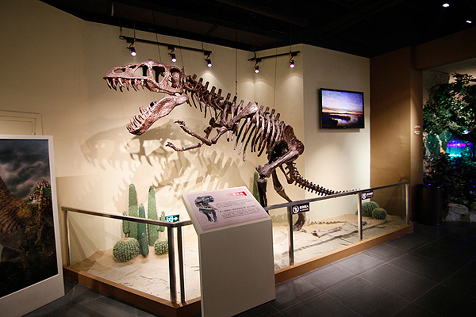 古生物博物馆团购,古生物博物馆打折优惠,古生