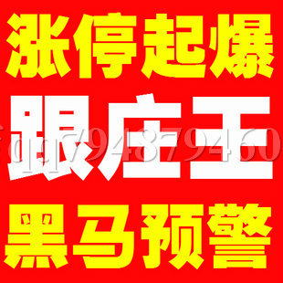 炒股软件跟庄王庄家克星沪深龙虎榜统计系统软