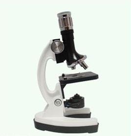 镜中童趣(教学版) 学生显微镜一台(显微镜+投影